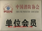 中国消防协会